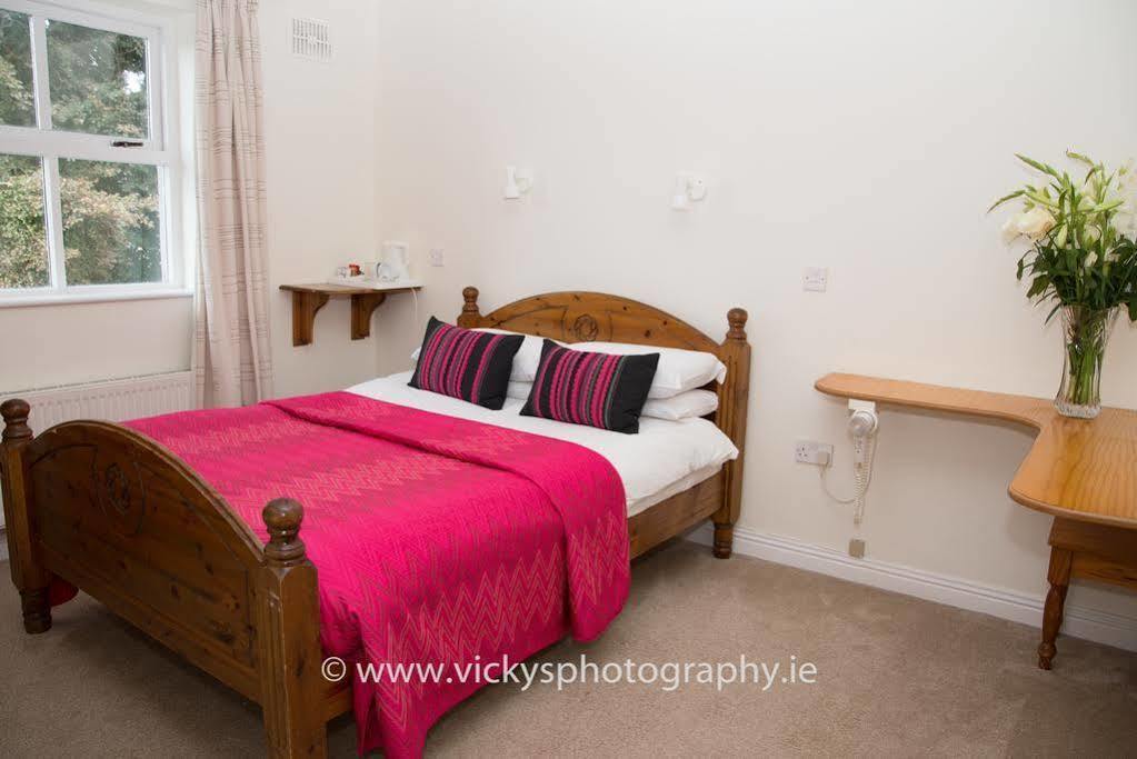 The Townhouse Bed & Breakfast Kilkenny Exterior foto